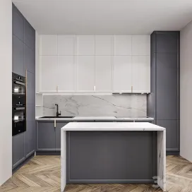 Kitchen Neoclassical